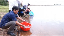 Chi cục phát triển Nông nghiệp tỉnh Đăk Nông thả hơn 1 tấn cá tái tạo nguồn lợi thuỷ sản tại Hồ Đăk Đrông, huyện Cư Jút