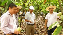 HĐND tỉnh Đăk Nông: Giám sát về phát triển nông nghiệp tại huyện Cư Jút