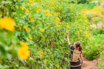Sở Nông nghiệp và Phát triển nông thôn tổ chức diễn đàn “Thúc đẩy phát triển nông nghiệp xanh, bền vững gắn với du lịch nông thôn và sản phẩm OCOP tỉnh Đăk Nông”