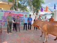 Trao tặng bò giống sinh sản cho hộ nghèo ở xã Đăk Wil.