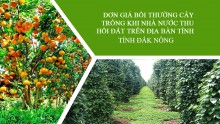 Ban hành đơn giá bồi thường thiệt hại về cây trồng, vật nuôi trên địa bàn tỉnh Đắk Nông